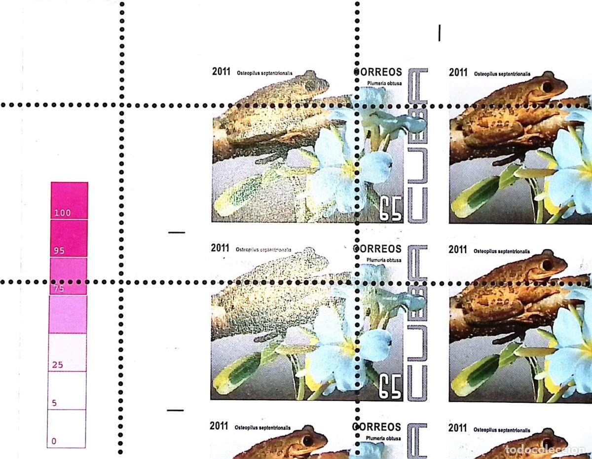 Sellos: TS) 2011 CUBA,DIE PROOF, PERFORATE, DISPLACED IMAGE, BLOCK OF 6,FLORA & FAUNA, MNH.