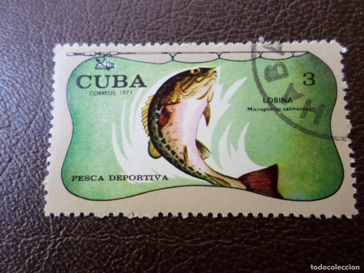 Sellos: :cuba, 1971, pesca deportiva, lubina, Yvert 1528