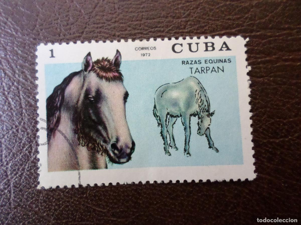 Timbres: :cuba, 1972, caballos de raza, Yvert 1586