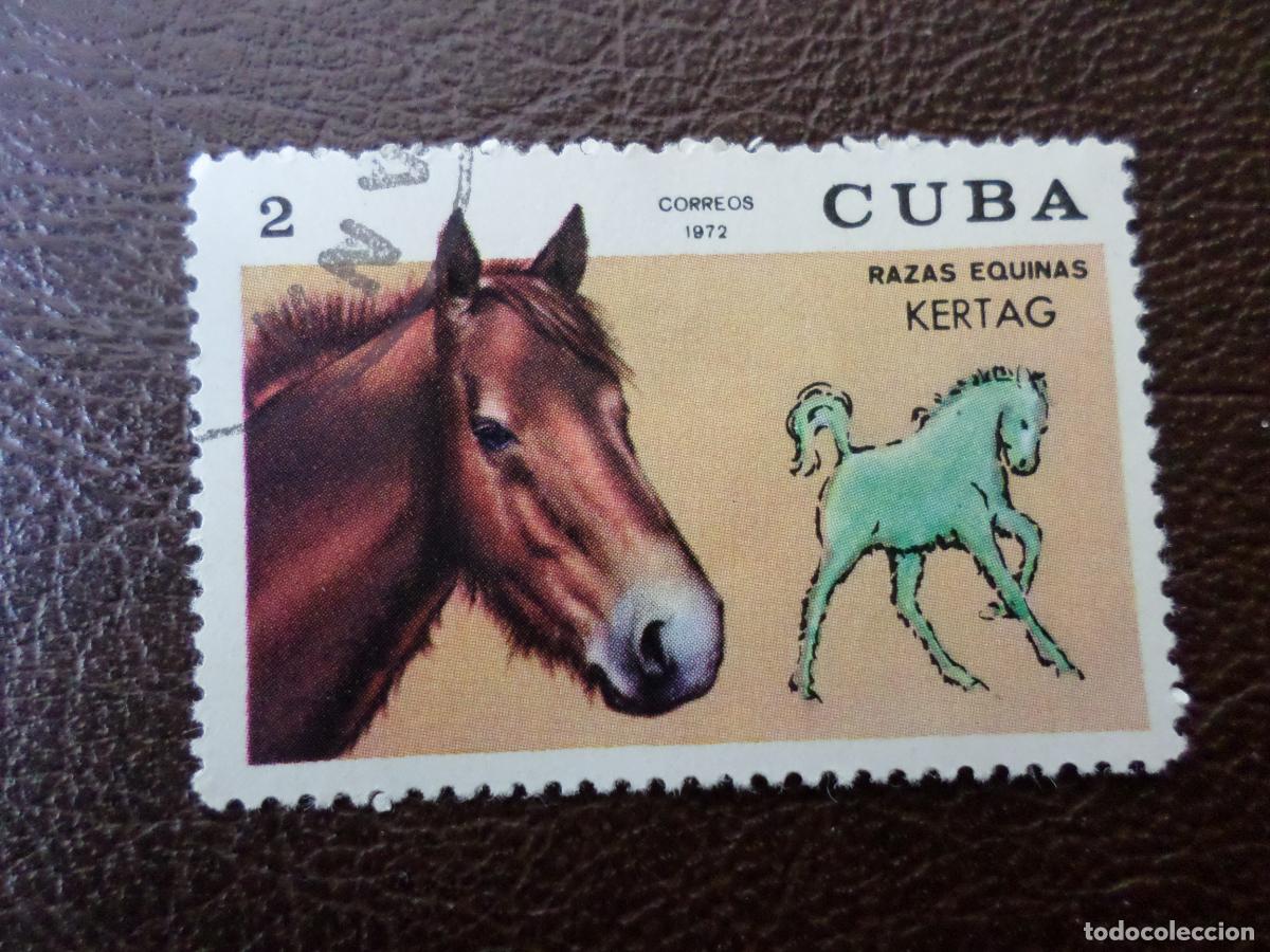Sellos: :cuba, 1972, caballos de raza, Yvert 1587