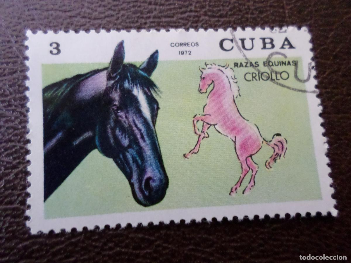 Sellos: :cuba, 1972, caballos de raza, Yvert 1588