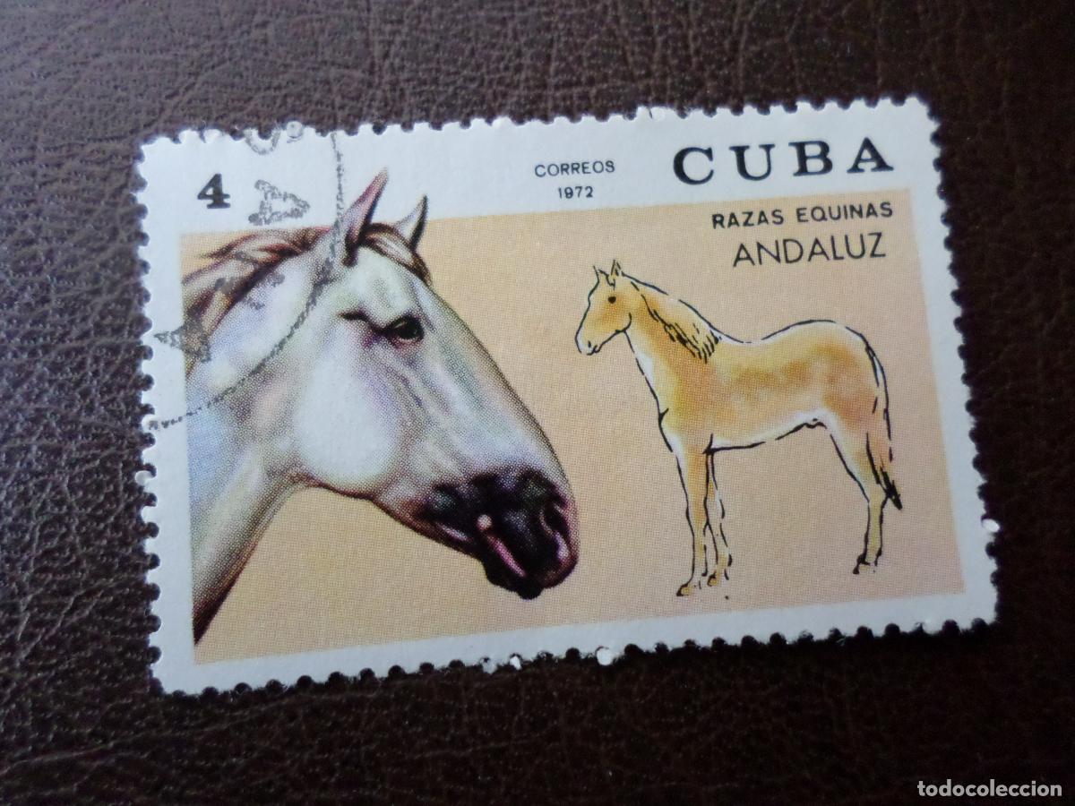 Sellos: :cuba, 1972, caballos de raza, Yvert 1589