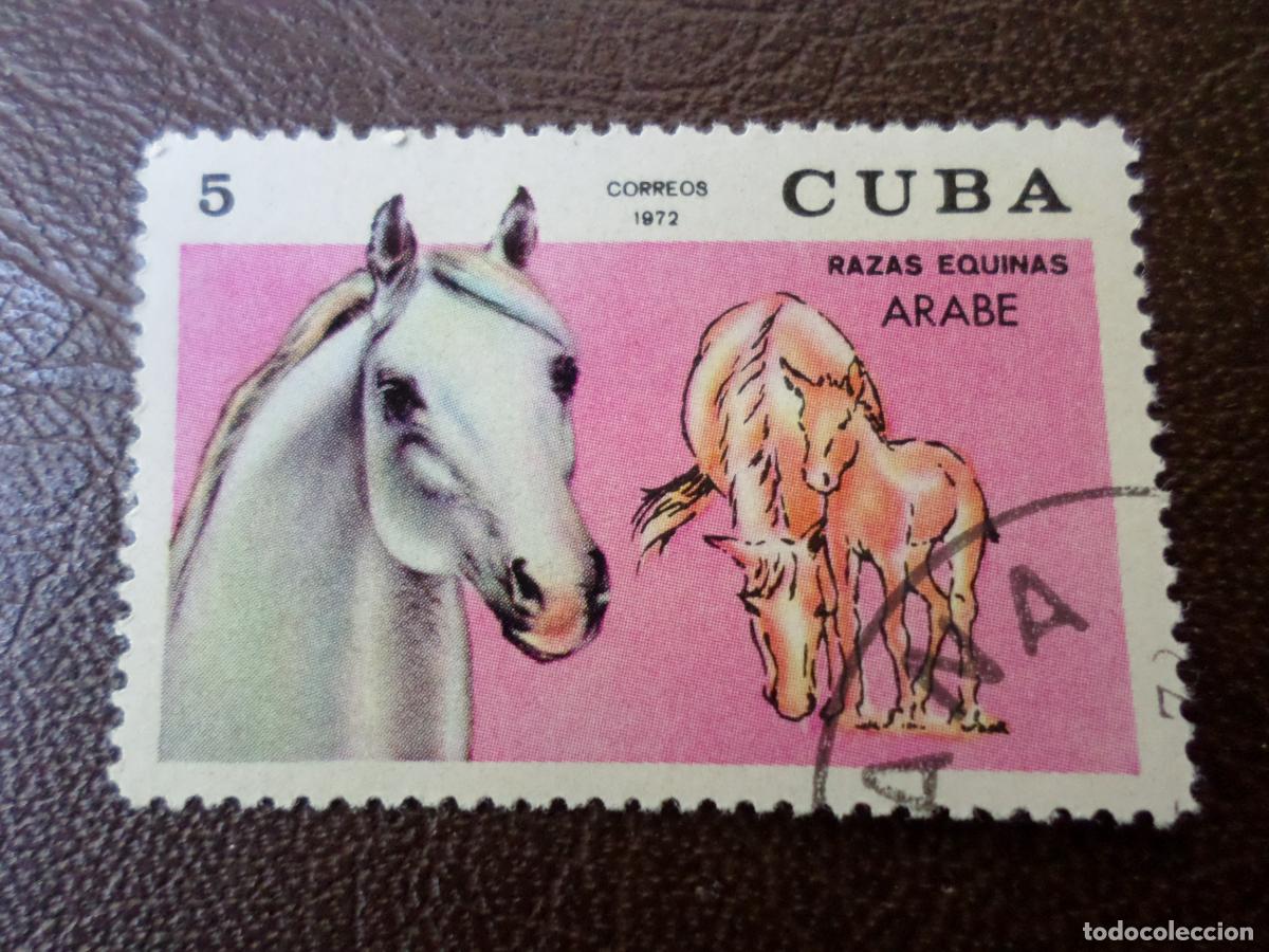 Sellos: :cuba, 1972, caballos de raza, Yvert 1590