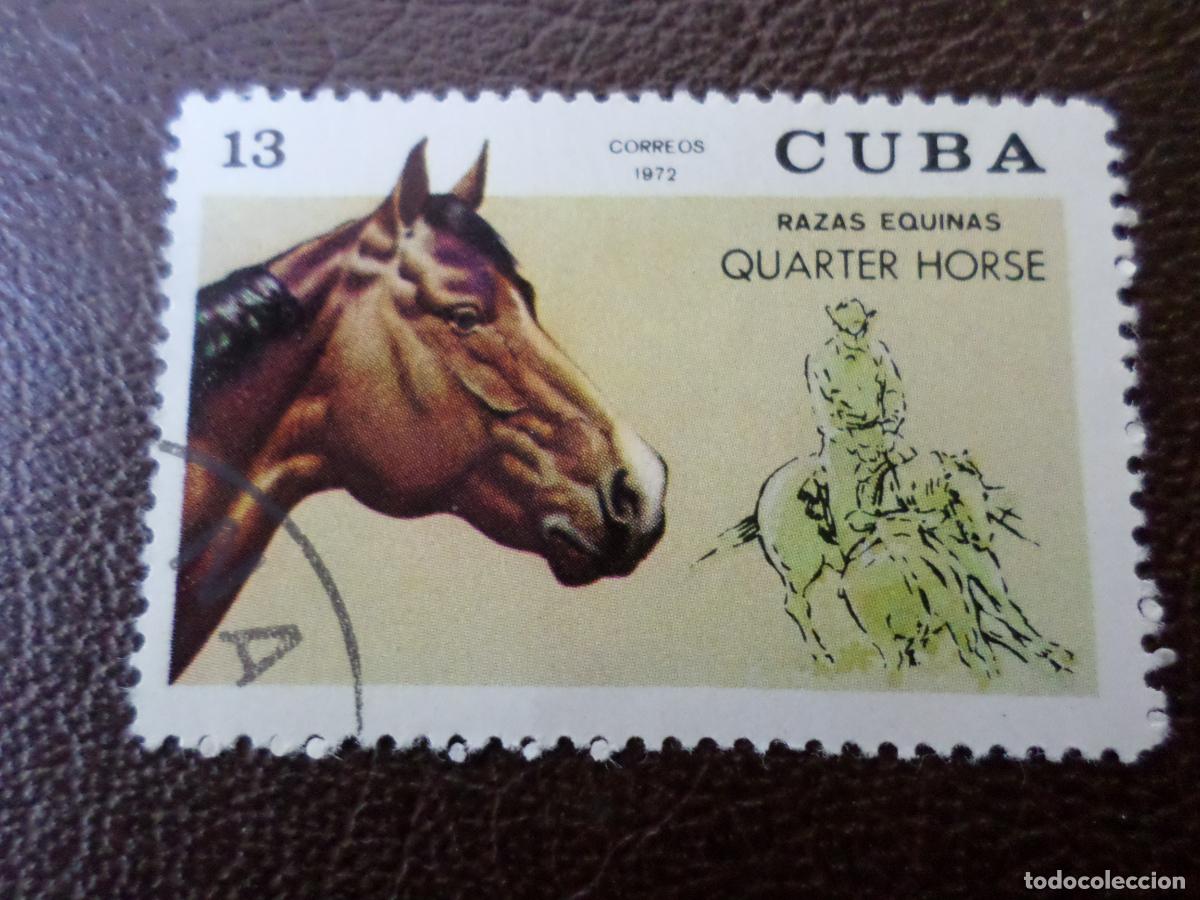 Sellos: :cuba, 1972, caballos de raza, Yvert 1591