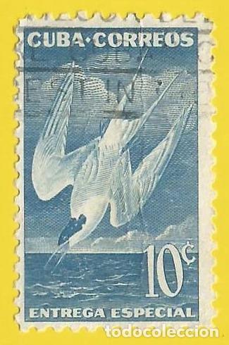 Sellos: Cuba. 1953. Scott # E18. Aves. Charran