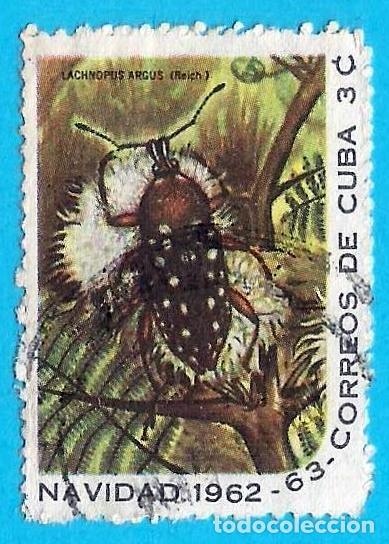 Sellos: Cuba. 1962. Scott # 769. Navidad. Escarabajo. Lachnopus argus