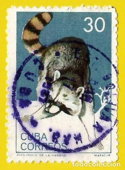 Sellos: Cuba. 1964. Scott # 900. Zoo de la Habana. Fauna. Mapache