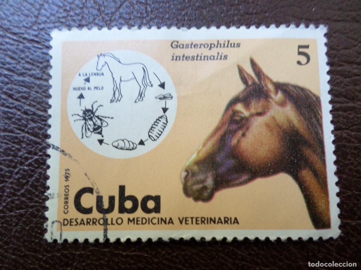 Sellos: :cuba, 1975, desarrollo medicina veterinaria, Yvert 1889