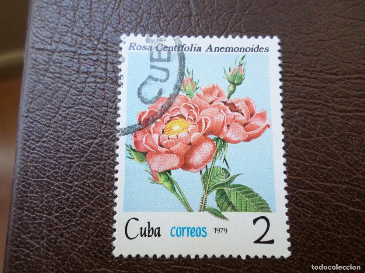 Sellos: :cuba, 1979, rosas de cuba, Yvert 2141