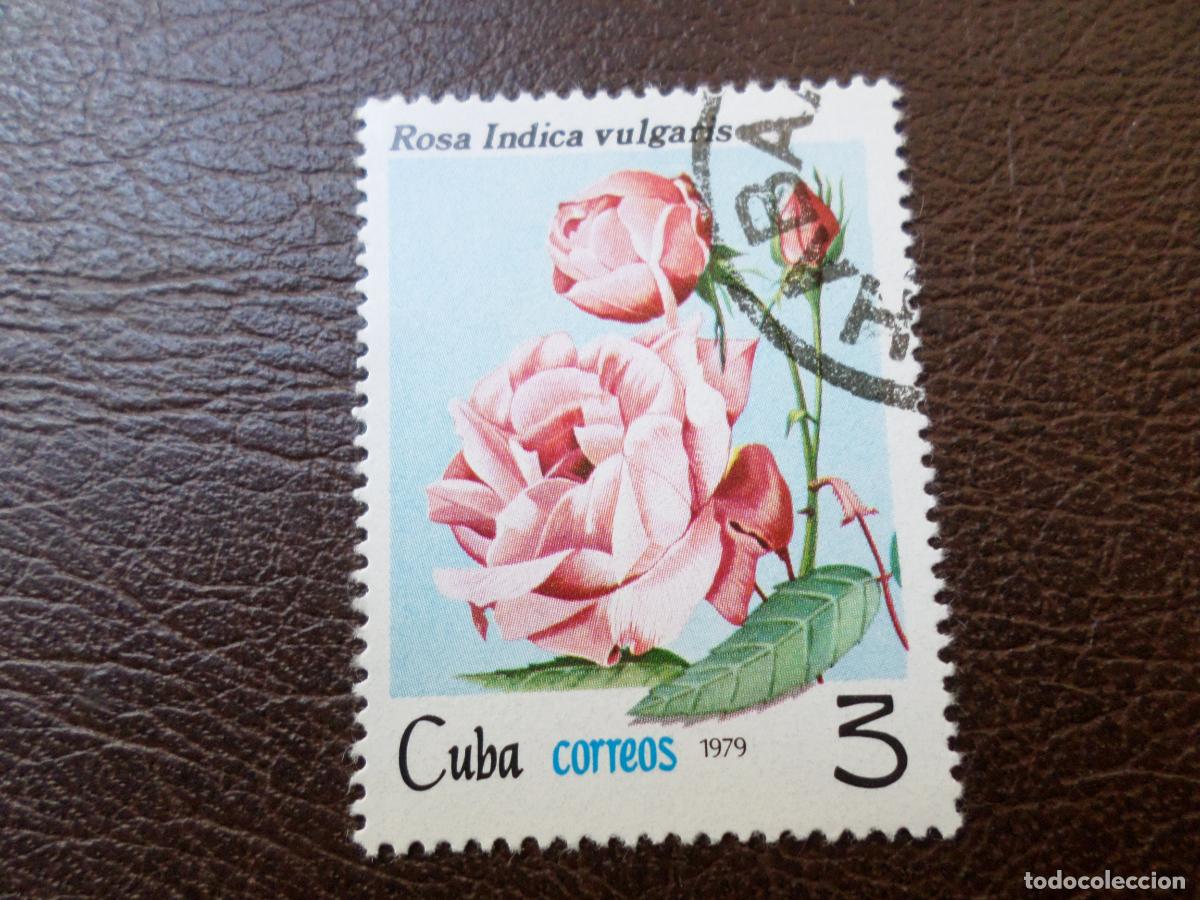 Sellos: :cuba, 1979, rosas de cuba, Yvert 2142
