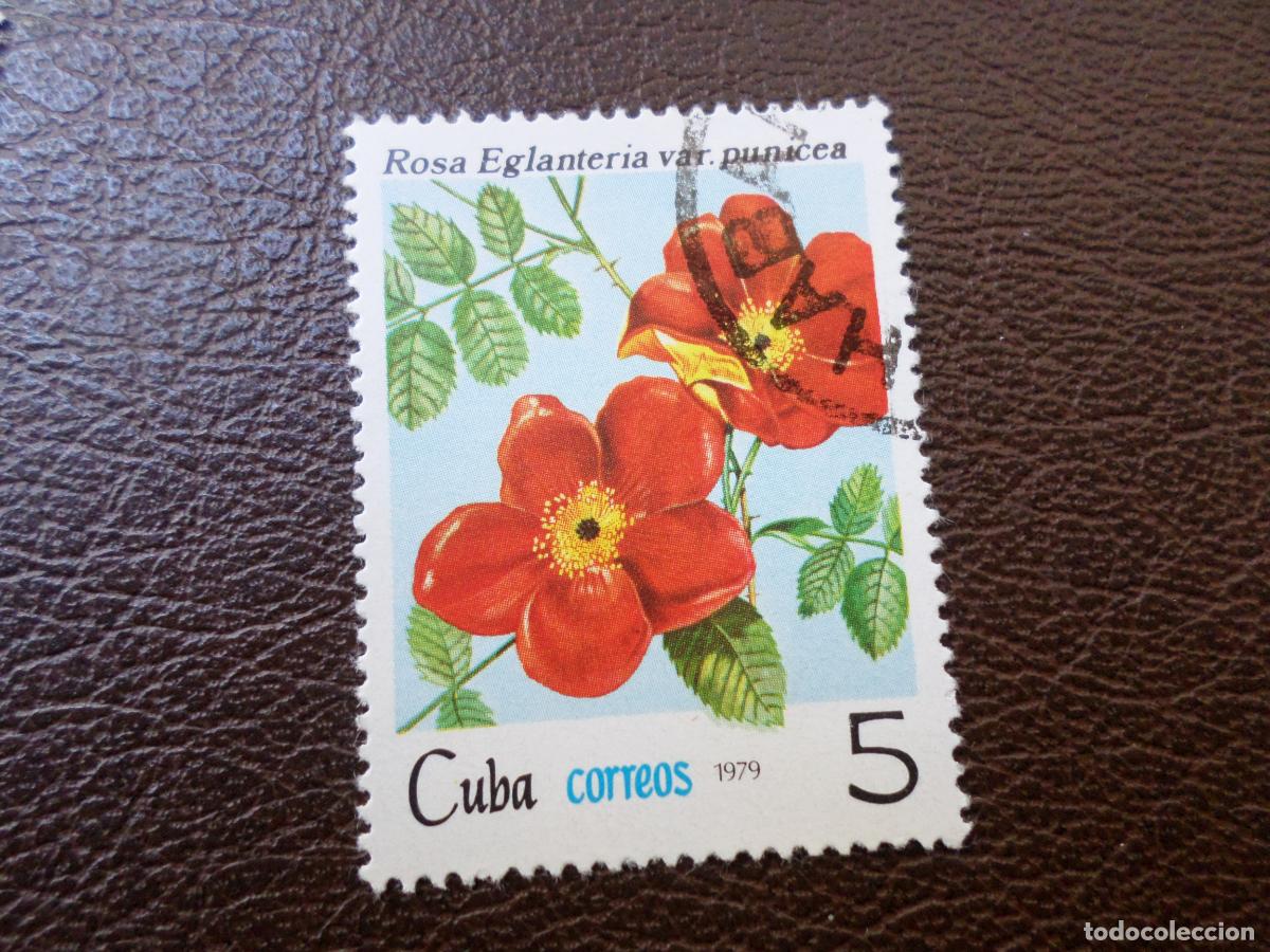 Sellos: :cuba, 1979, rosas de cuba, Yvert 2143