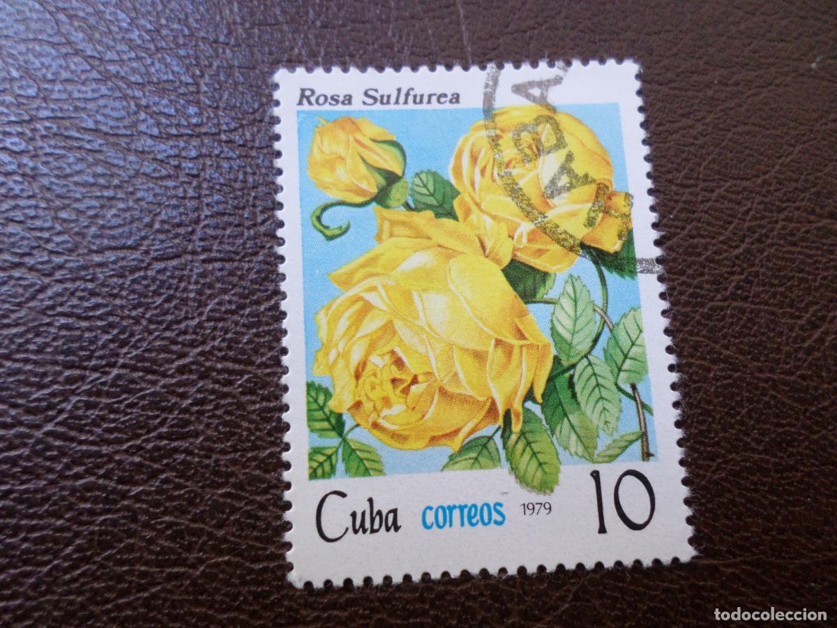 Sellos: :cuba, 1979, rosas de cuba, Yvert 2144