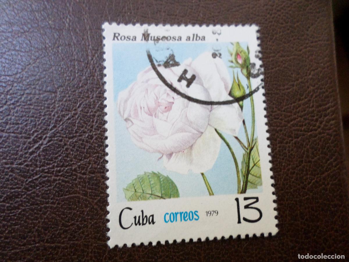 Sellos: :cuba, 1979, rosas de cuba, Yvert 2145