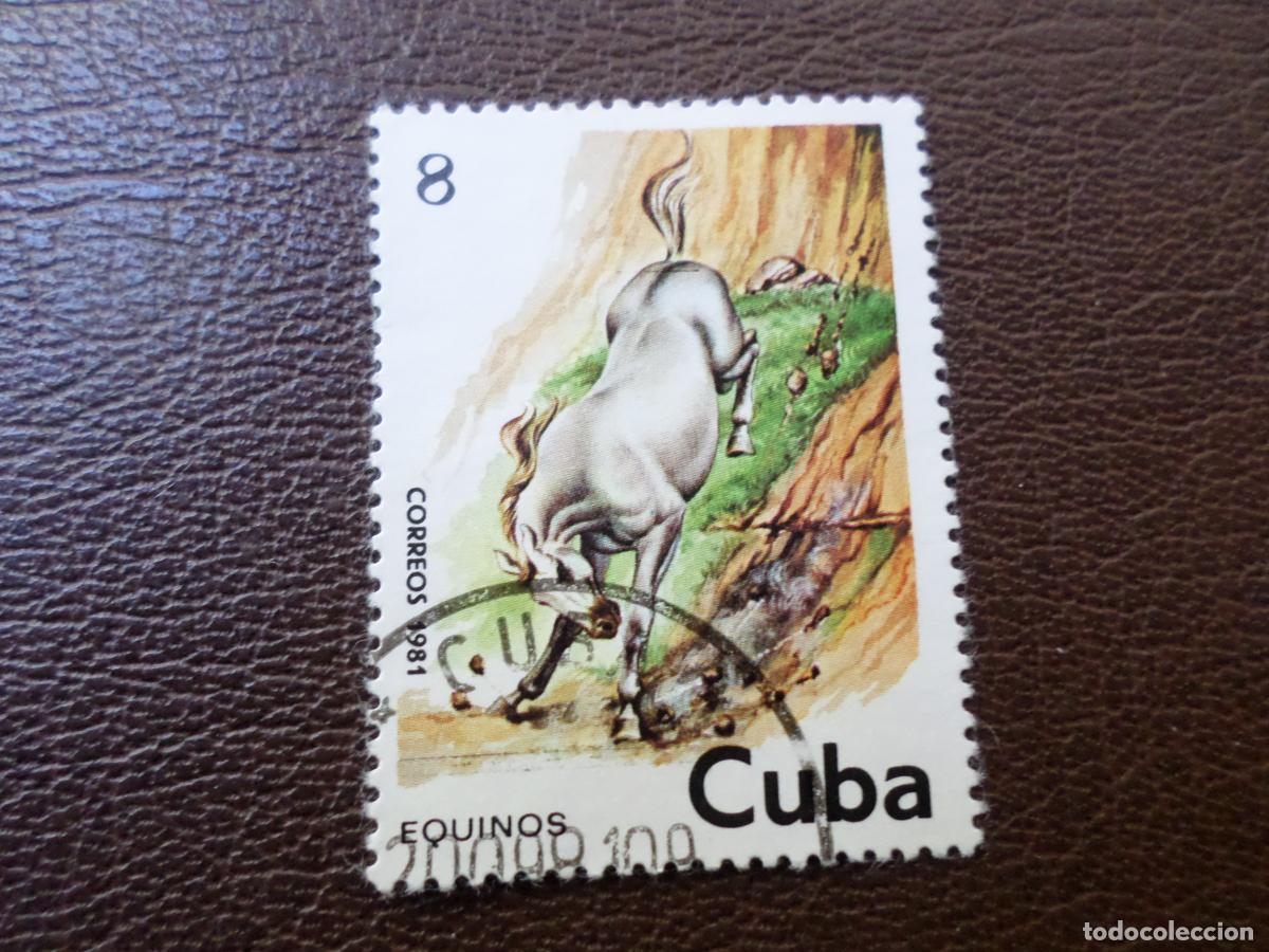 Sellos: :cuba, 1981, caballos, Yvert 2290