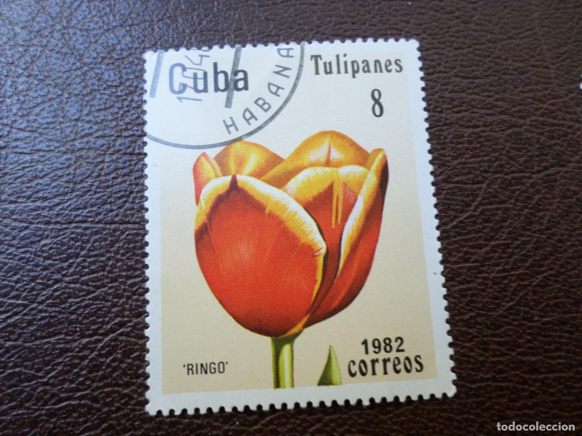 Sellos: :cuba, 1982, flora, tulipanes, Yvert 2348