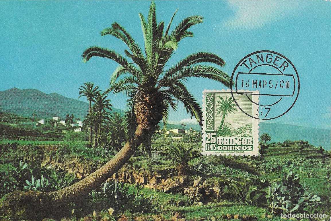 Timbres: TANGER (MARRUECOS ESPA&Ntilde;OL) INDIGENA Y PAISAJES 1948-1951 (EDIFIL 156 TARJETA MAXIMA TANGER 1957 RARO