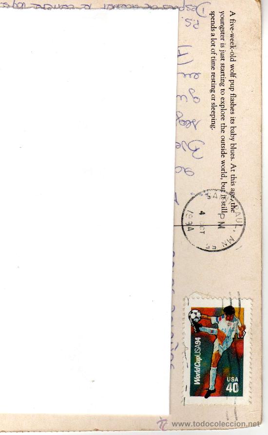 Selos: SELLO MUNDIAL FUTBOL 1994. ESTADOS UNIDOS. 40. (WORLD CUP USA 94)