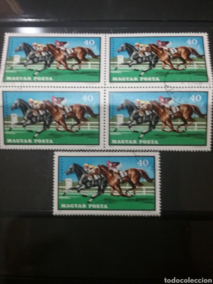 Timbres: Sellos R. Hungria (Magyar Posta) mtdos/1971/Galope/carrera caballos/equitacion/monta/mamifero/fauna