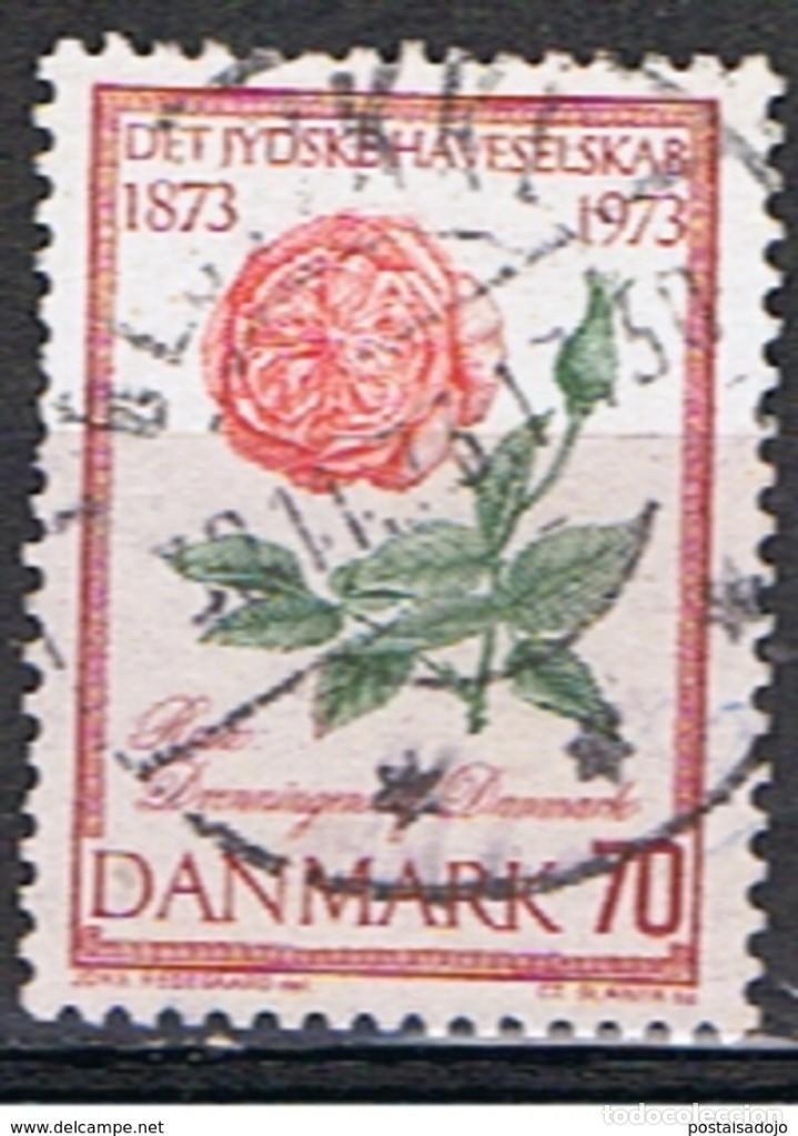 Sellos: DINAMARCA // YVERT 553 // 1973 ... USADO - Foto 1
