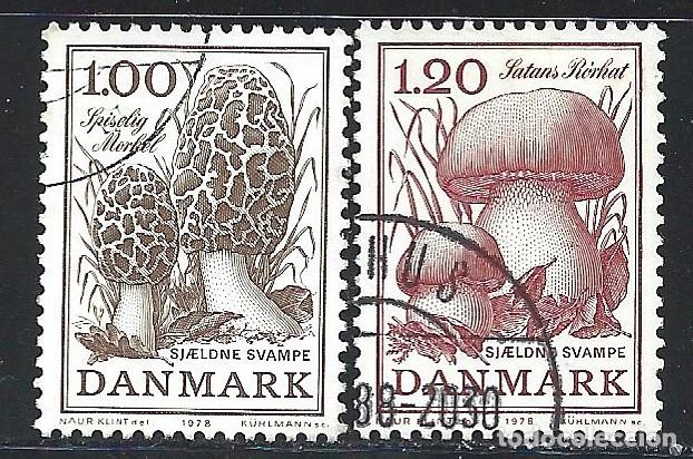 Sellos: DINAMARCA 674/75 - A&Ntilde;O 1978 - FLORA - SETAS - Foto 1