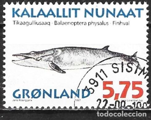 Sellos: Groenlandia 1997 - Mi 306 - YT 285 - Ballena