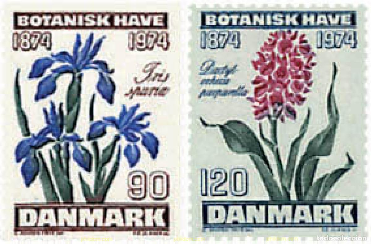 Sellos: 96028 MNH DINAMARCA 1974 CENTENARIO DE LA FUNDACION DEL JARDIN BOTANICO
