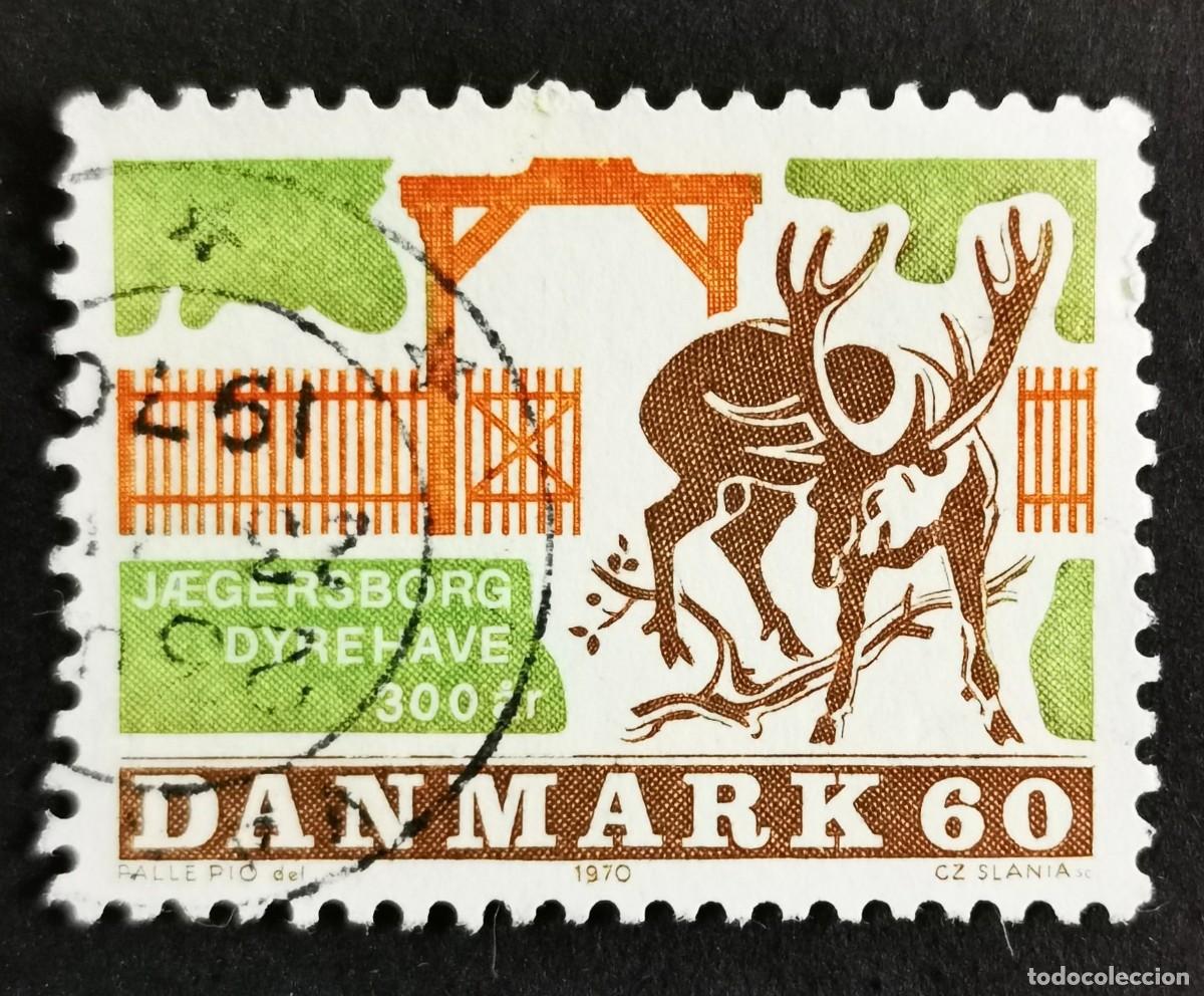 Sellos: Sello Dinamarca 1970, Ciervo rojo en el parque de ciervos de J&aelig;gersborg, 60 &oslash;re Michel: DK 495