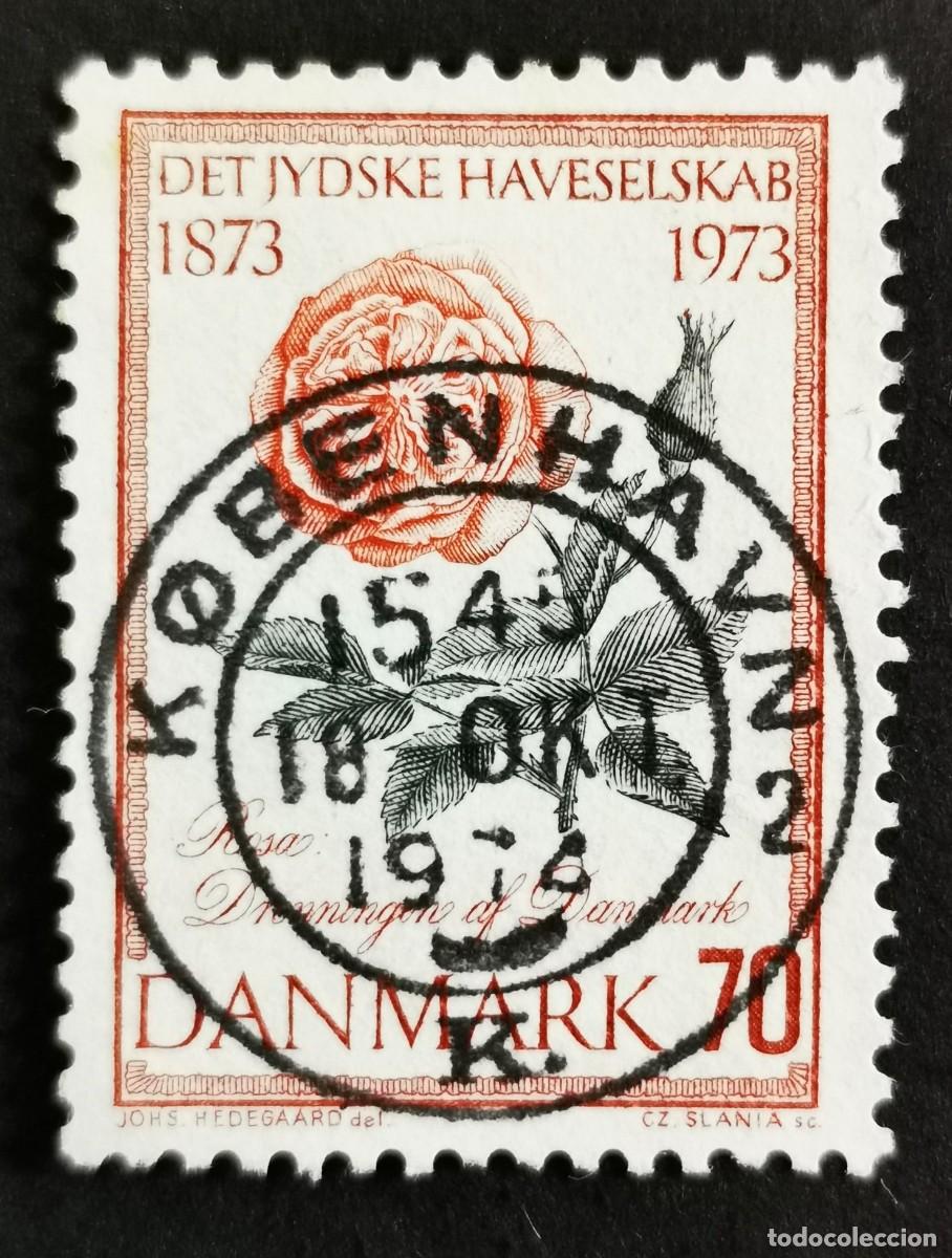 Sellos: Sello Dinamarca 1973, Rosa, la &rdquo;Reina de Dinamarca&rdquo;, 70 &oslash;re. Michel: DK 544