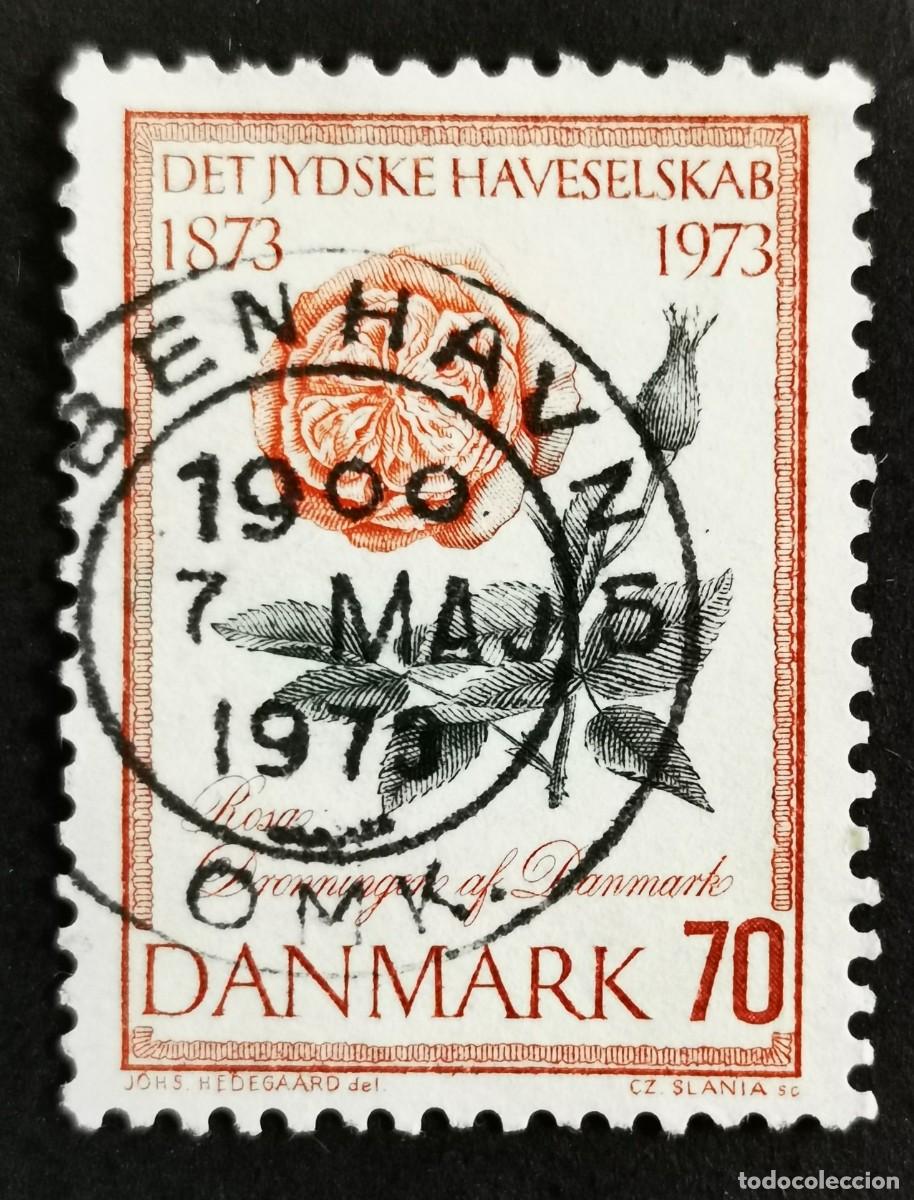 Sellos: Sello Dinamarca 1973, Rosa, la &rdquo;Reina de Dinamarca&rdquo;, 70 &oslash;re. Michel: DK 544