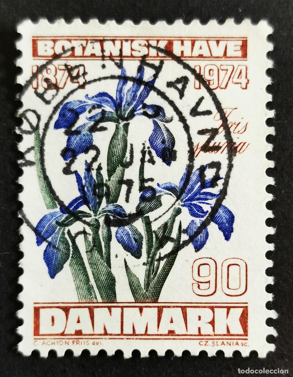 Sellos: Sello Dinamarca 1974, Lirio azul (Iris spuria L.), 90 &oslash;re. Michel: DK 575