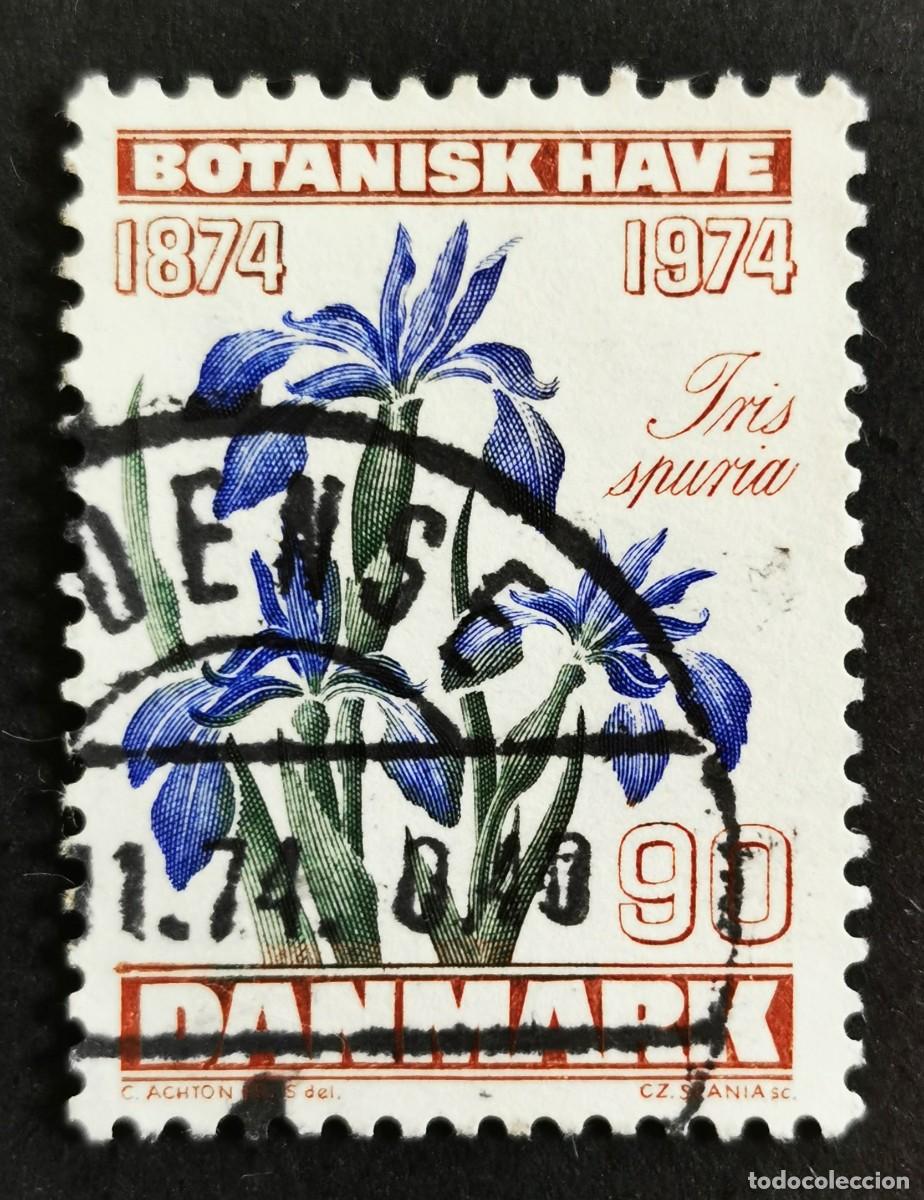 Sellos: Sello Dinamarca 1974, Lirio azul (Iris spuria L.), 90 &oslash;re. Michel: DK 575