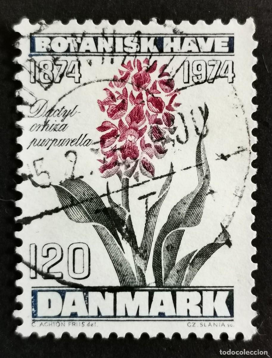 Sellos: Sello Dinamarca 1974, Orqu&iacute;dea de los pantanos del norte, 120 &oslash;re. Michel: DK 576