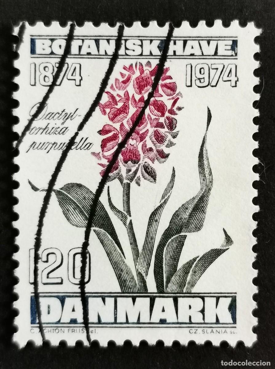 Sellos: Sello Dinamarca 1974, Orqu&iacute;dea de los pantanos del norte, 120 &oslash;re. Michel: DK 576