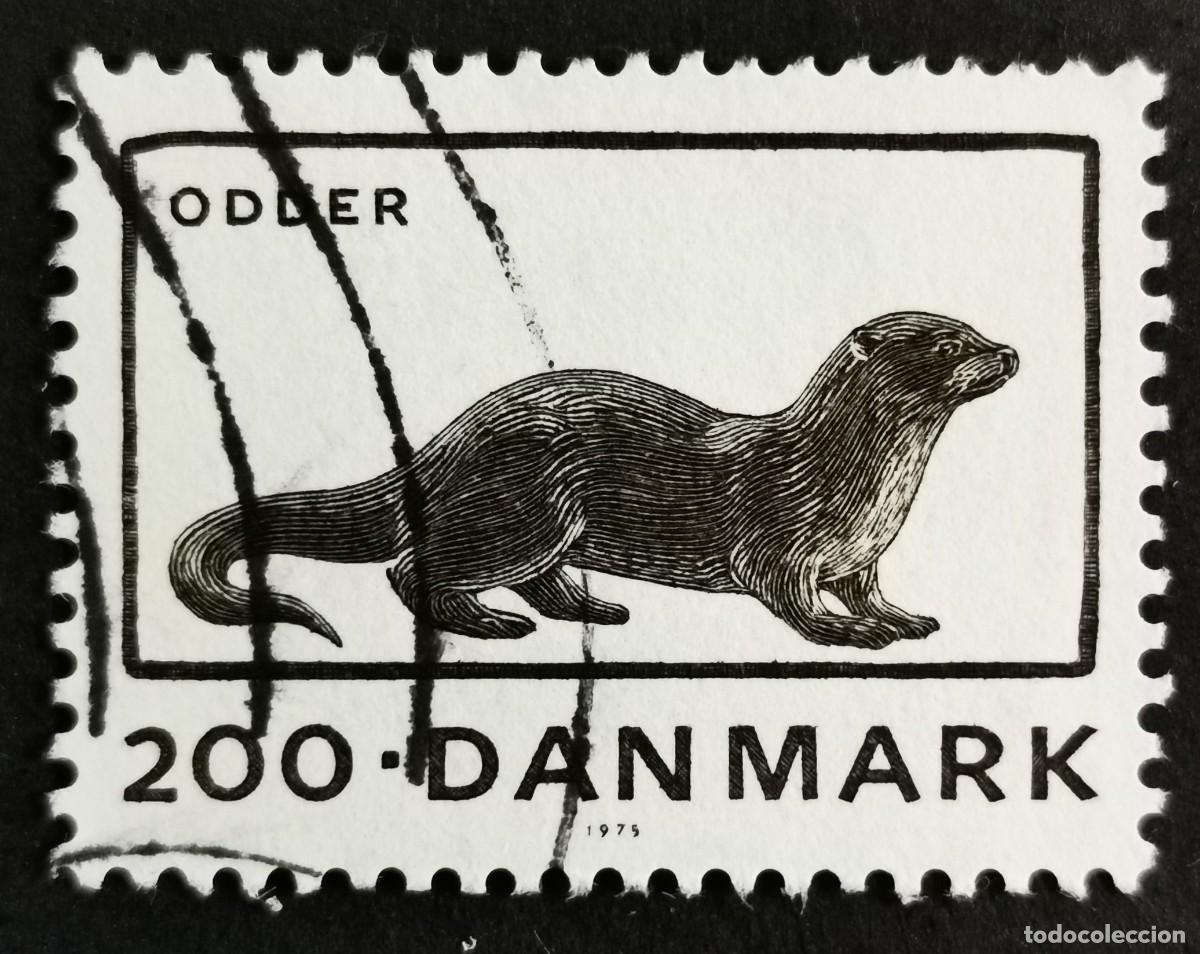 Sellos: Sello Dinamarca 1975, Nutria euroasi&aacute;tica (Lutra lutra), 200 &oslash;re. Michel: DK 605