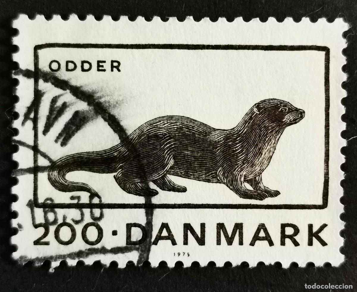 Sellos: Sello Dinamarca 1975, Nutria euroasi&aacute;tica (Lutra lutra), 200 &oslash;re. Michel: DK 605