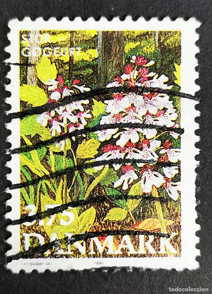 Sellos: Sello Dinamarca 1990, Orchis purpurea - Orqu&iacute;dea de dama, 3,75 dkr. Michel: DK 983