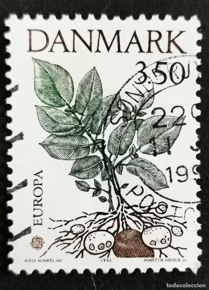Sellos: Sello Dinamarca 1992, Planta de patata, 3.50 dkr. Michel: DK 1025