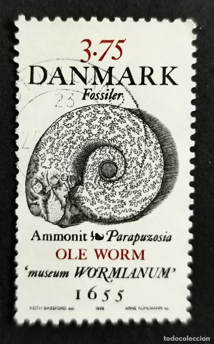 Sellos: Sello Dinamarca 1998, Ammonite (desde &rdquo;Museum Wormianum&rdquo; de Ole Worm), 3.75 dkr. Michel: DK 1195