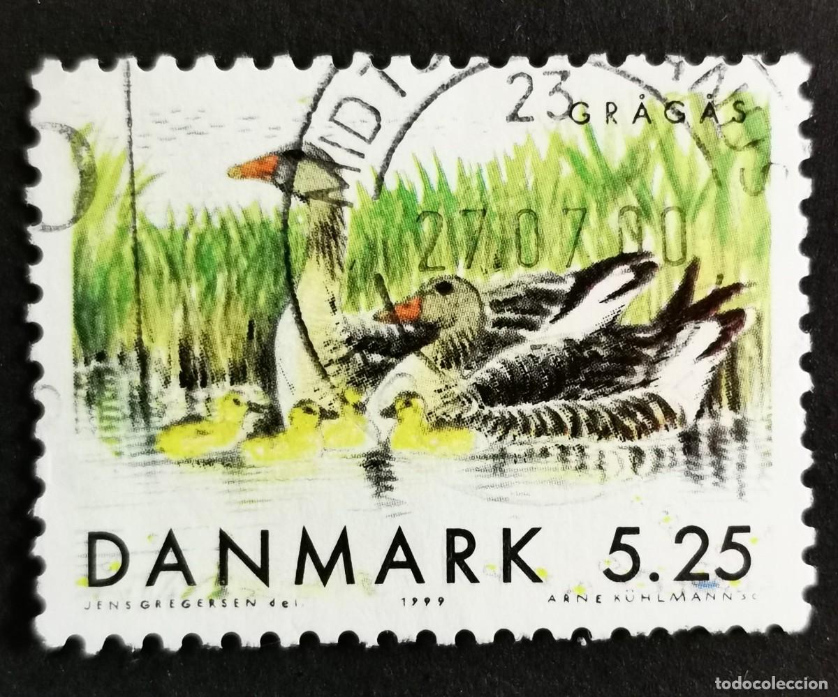 Sellos: Sello Dinamarca 1999, Gansos comunes con sus cr&iacute;as - Aves migratorias, 5.25 dkr. Michel: DK 1224