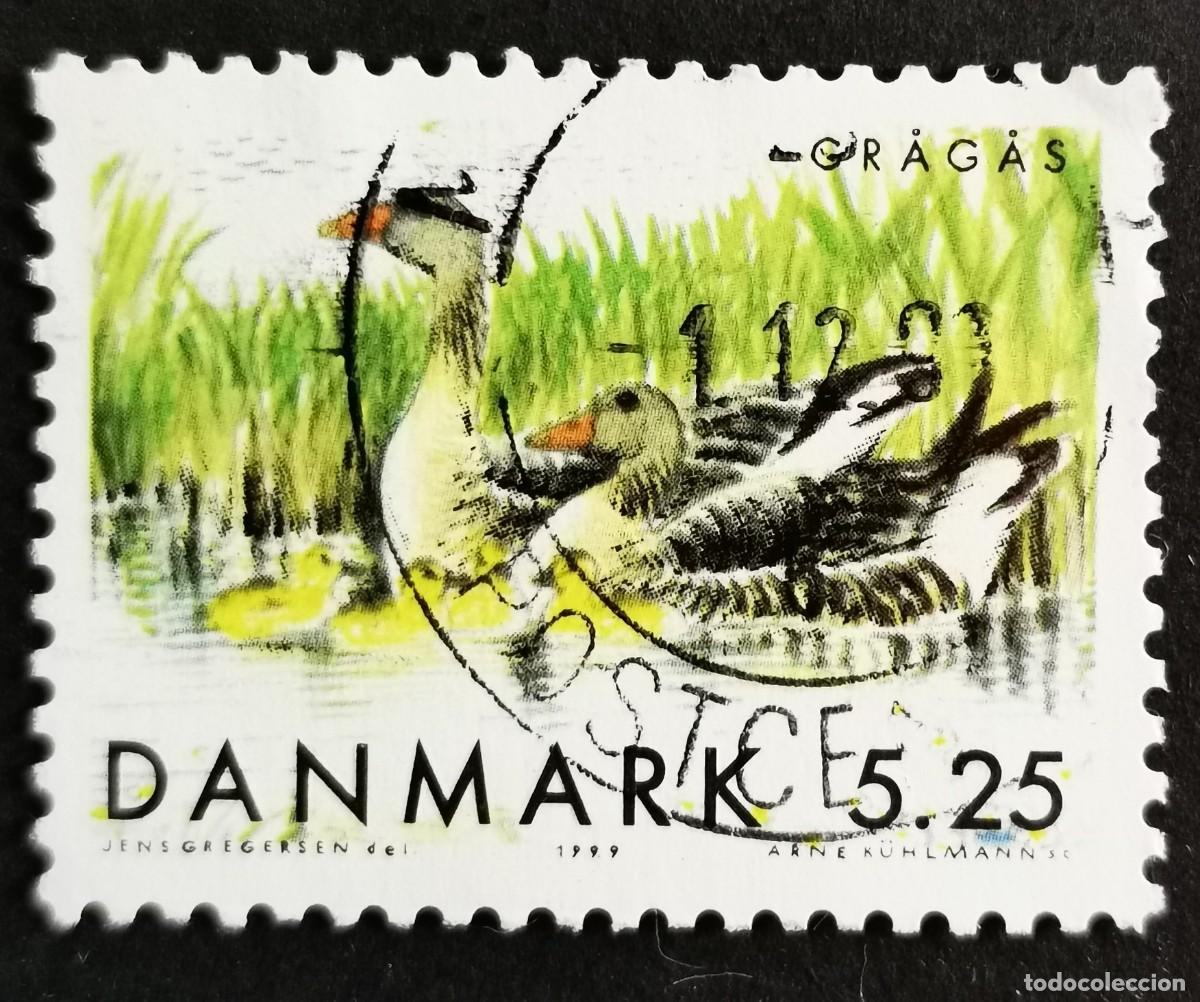Sellos: Sello Dinamarca 1999, Gansos comunes con sus cr&iacute;as - Aves migratorias, 5.25 dkr. Michel: DK 1224