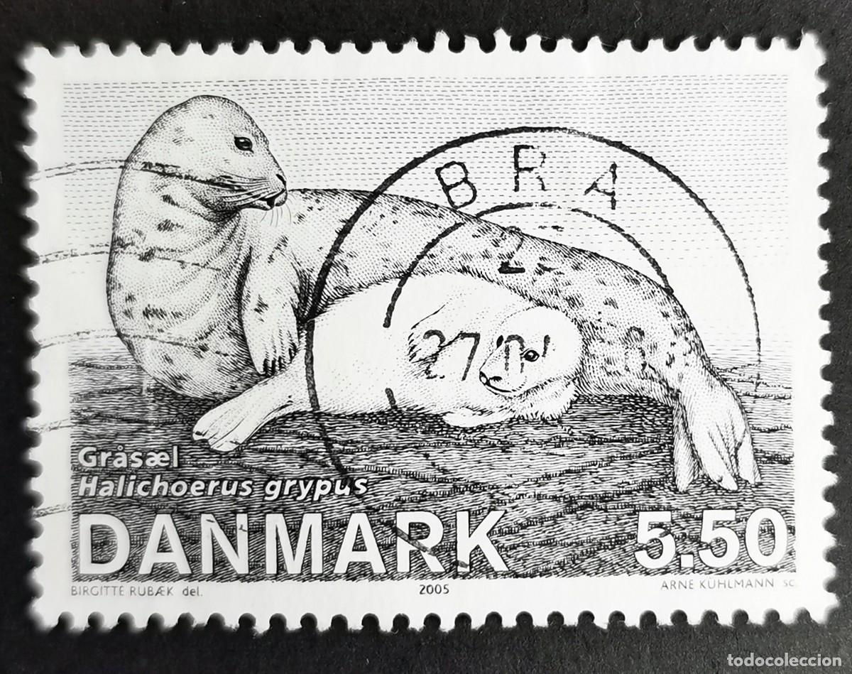 Sellos: Sello Dinamarca 2005, Foca gris (Halichoerus grypus), 5,50 dkr. Michel: DK 1418
