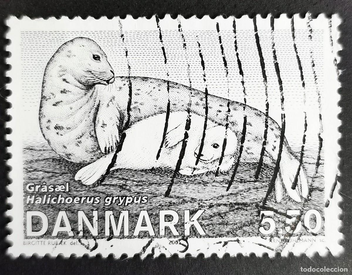 Sellos: Sello Dinamarca 2005, Foca gris (Halichoerus grypus), 5,50 dkr. Michel: DK 1418