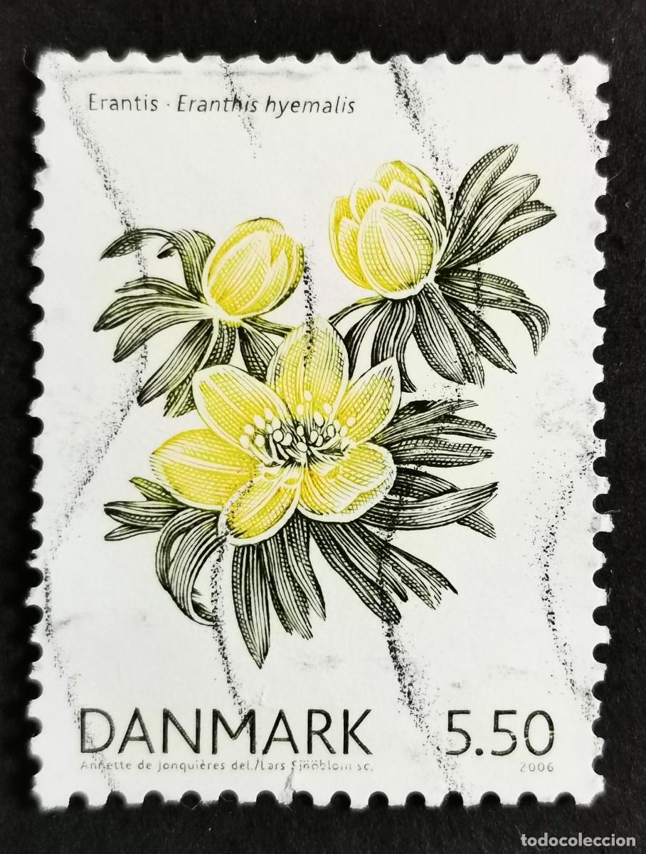 Sellos: Sello Dinamarca 2006, Ac&oacute;nito de invierno (Eranthis hyemalis), 5.50 dkr. Michel: DK 1424