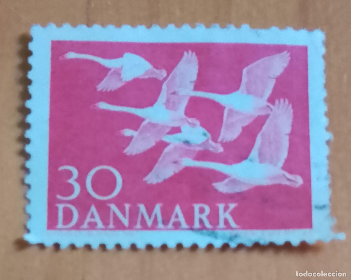 Sellos: DINAMARCA - V/F 30 - FAUNA, AVES, CISNES - YV 372