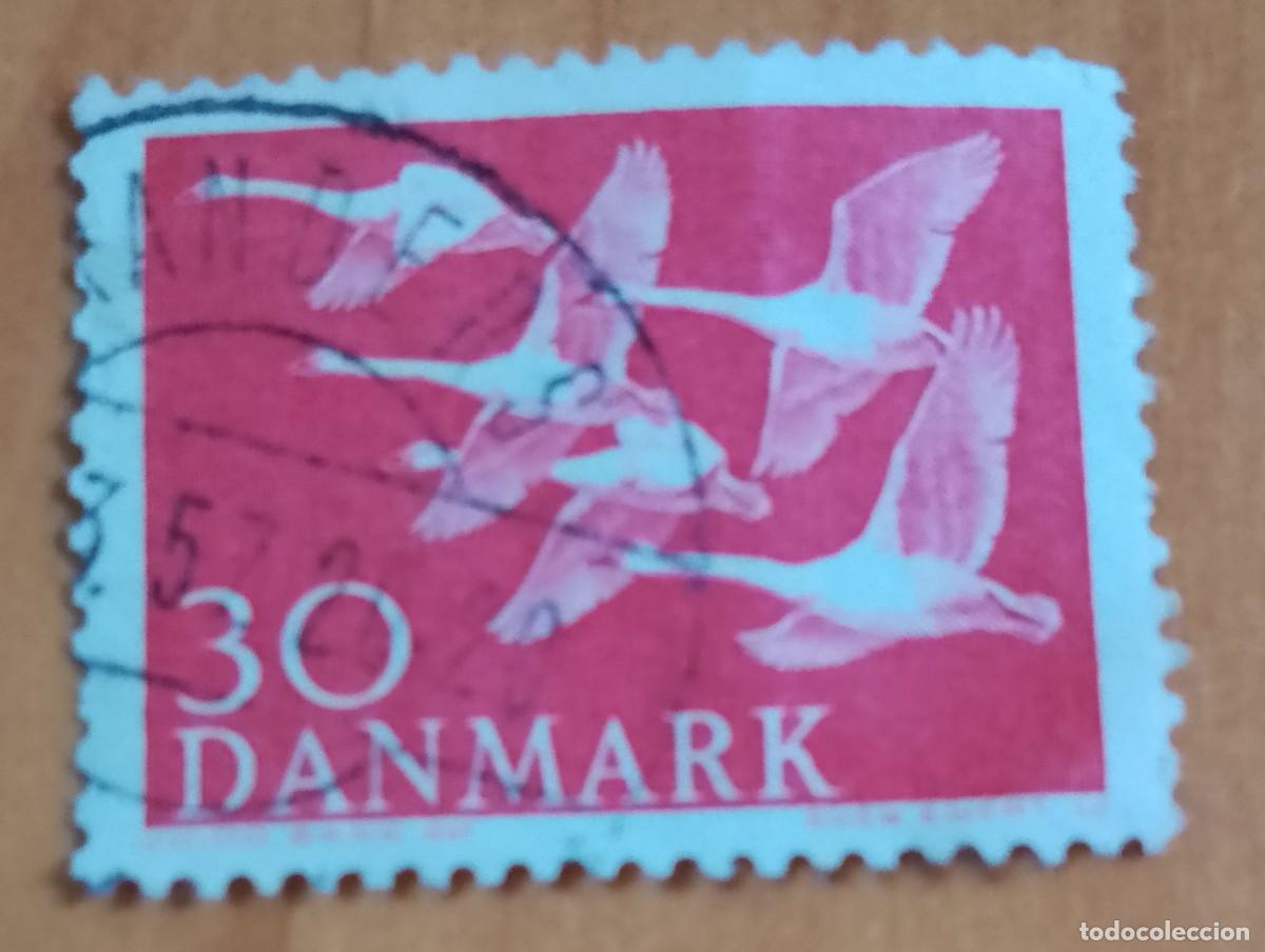 Sellos: DINAMARCA - V/F 30 - FAUNA, AVES, CISNES - YV 372
