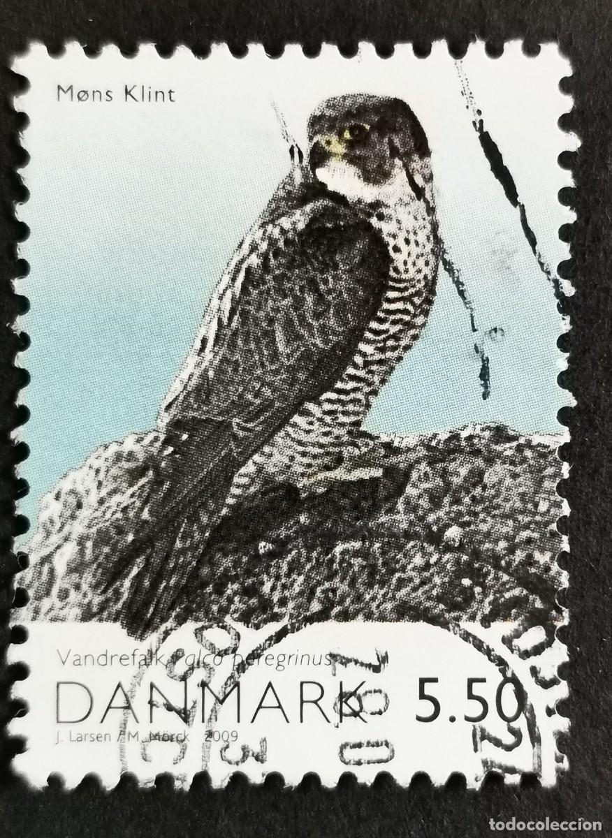 Sellos: Sello Dinamarca 2009, Halc&oacute;n peregrino (Falco peregrinus), 5.50 dkr. Michel: DK 1525