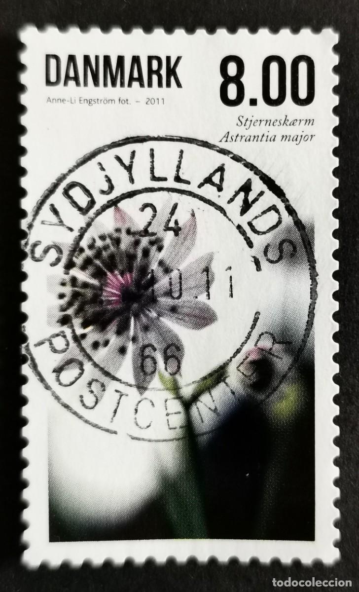 Sellos: Sello Dinamarca 2011, Astrantia mayor, 8.00 dkr. Michel: DK 1652