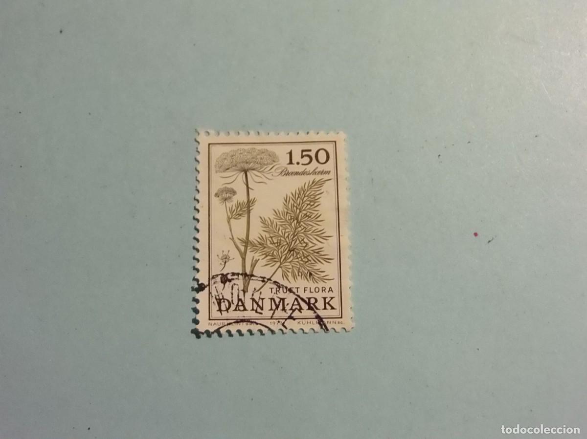 Sellos: DINAMARCA 1977 - PLANTAS - CNIDIUM DUBIUM (FAMILIA APIACEAS).