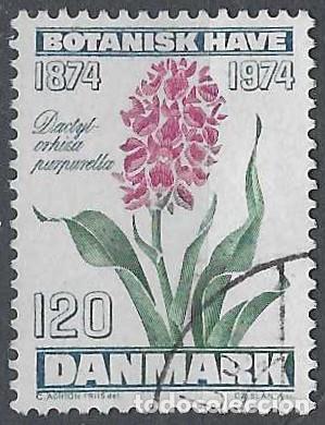 Selos: DINAMARCA 1974 - FLORES, ORQU&Iacute;DEA PURPURELLA - USADO