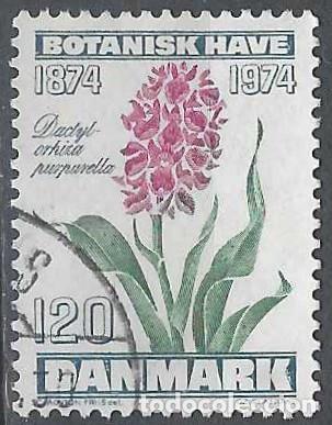 Briefmarken: DINAMARCA 1974 - FLORES, ORQU&Iacute;DEA PURPURELLA - USADO